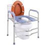 Raised Toilet Seat