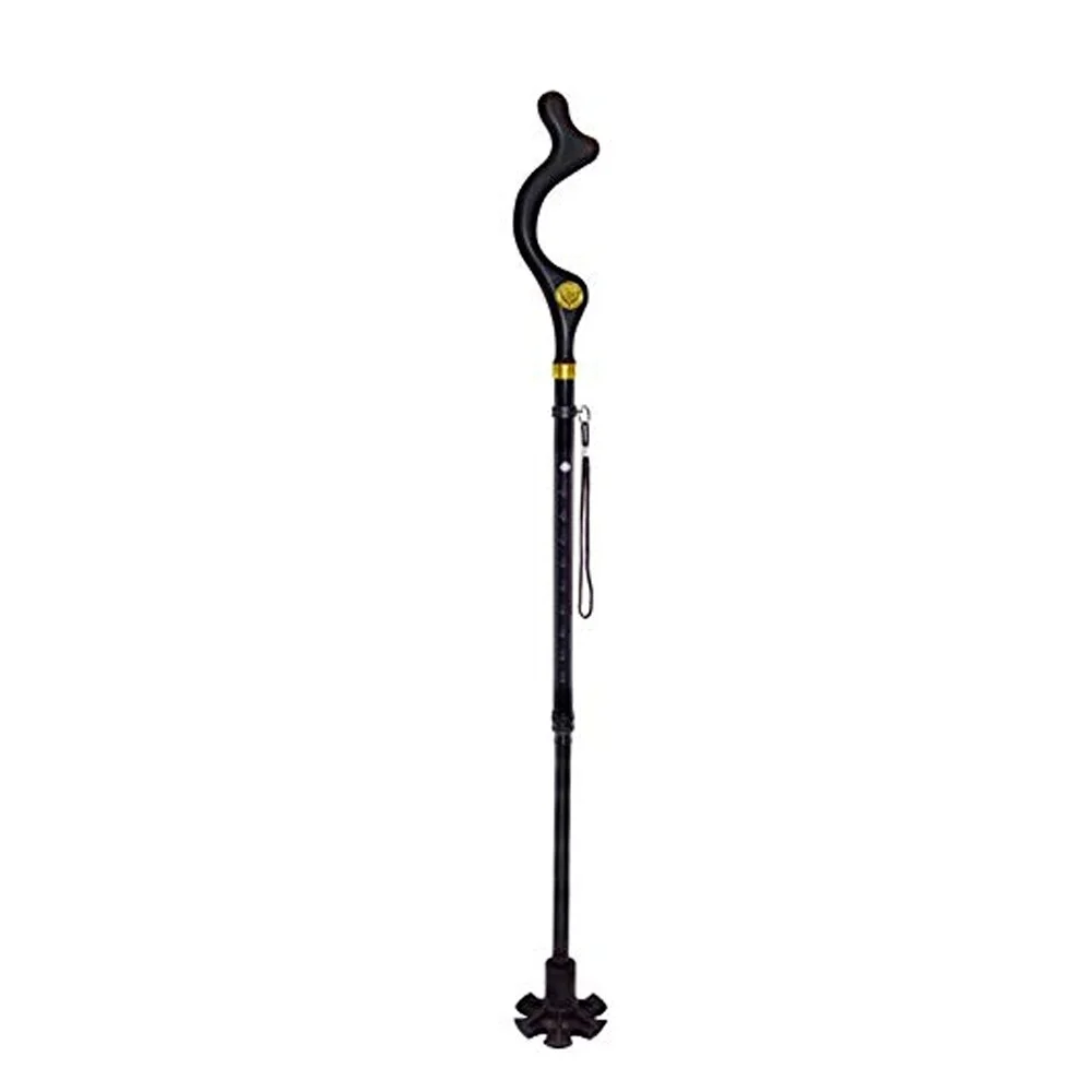 Campbell Posture Foldable Walking Cane